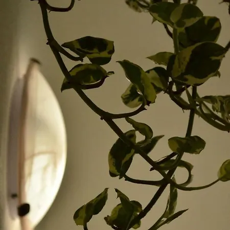 Apartment Vacanza Da Luisa San Giovanni Suergiu